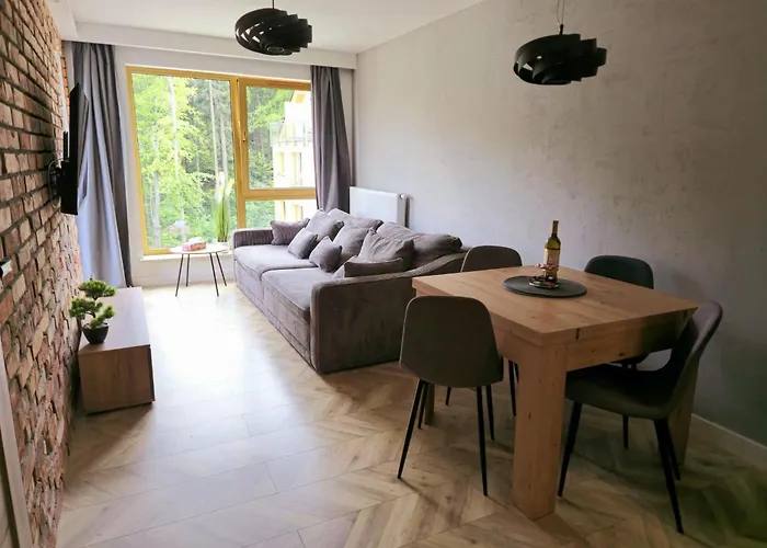 Apartment Kilinskiego 17a *